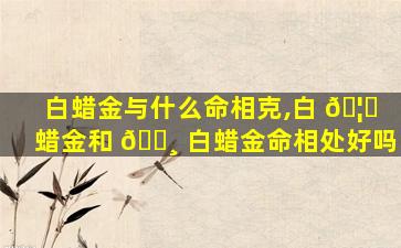 白蜡金与什么命相克,白 🦟 蜡金和 🌸 白蜡金命相处好吗